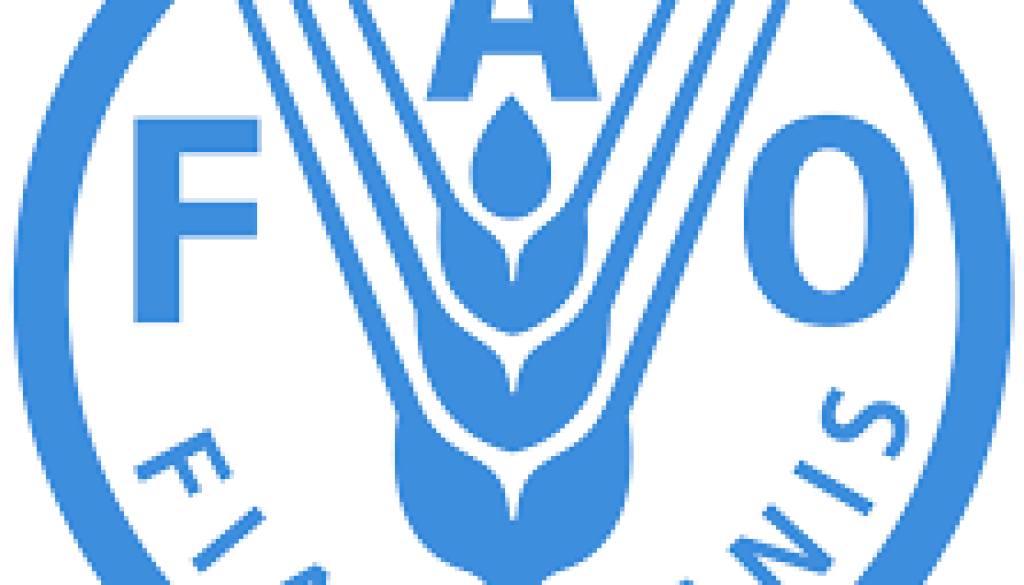 National Business Development Specialist Vacancy-Job Ref: JKAOFAO/1904/202651